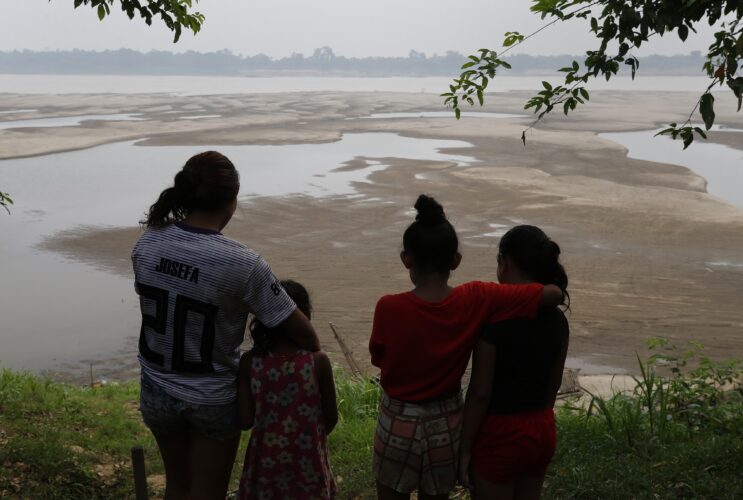Drought, fires and deforestation battered Amazon rainforest in 2024